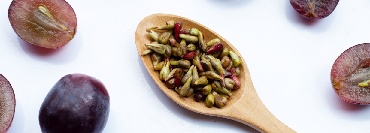 Grape seed extract and proanthocyanidins for hair growth