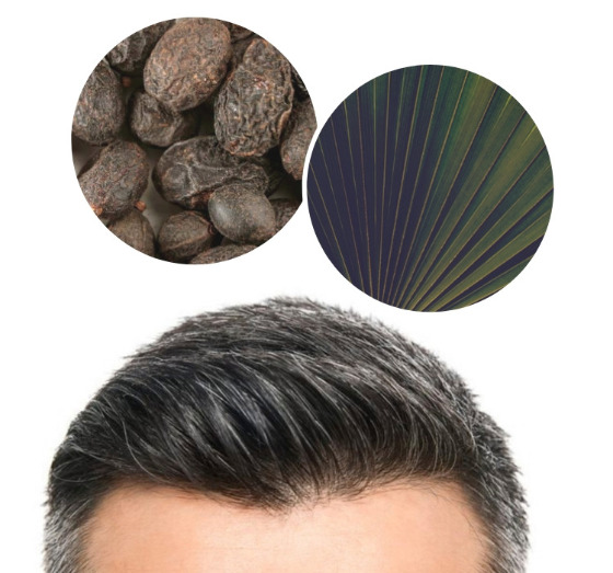 HR23+ saw palmetto and biotin hair loss treatment