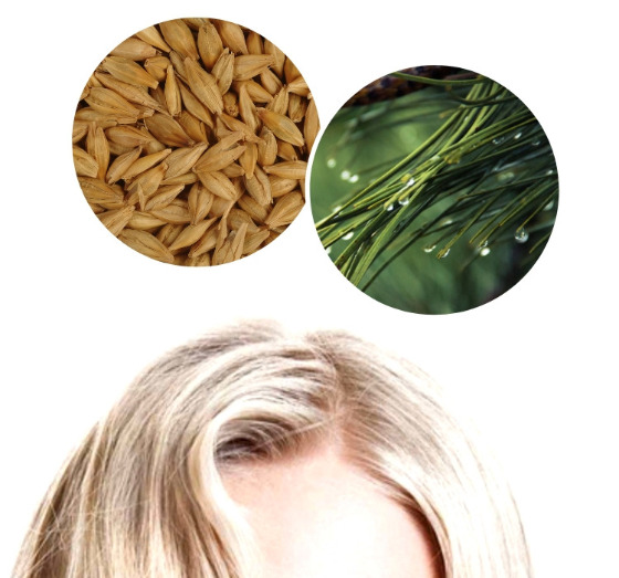 hair growth ingredients